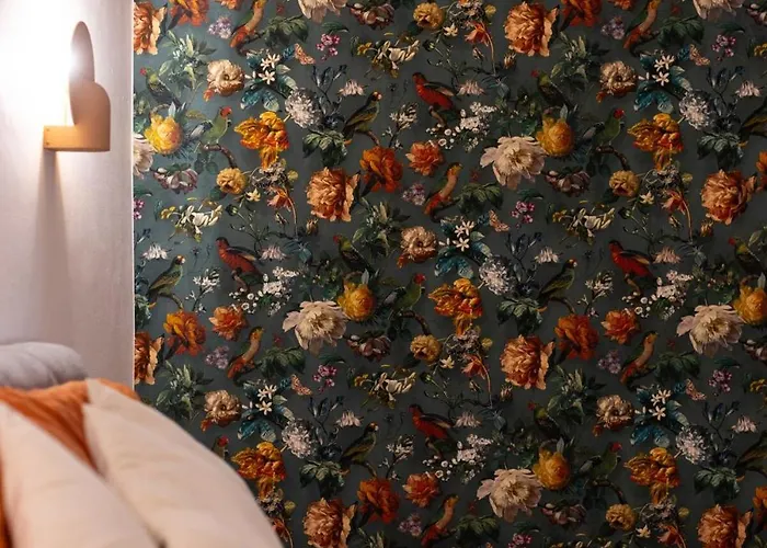 Jungle Apartamento *